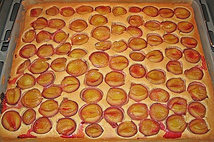 Zwetschgenkuchen vom Blech 19