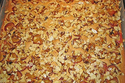 Zwetschgenkuchen vom Blech 7