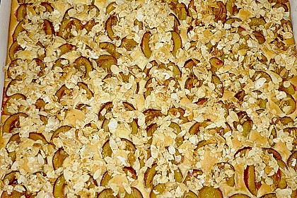 Zwetschgenkuchen vom Blech 23