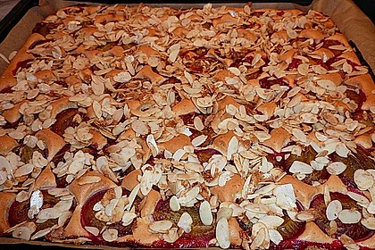 Zwetschgenkuchen vom Blech 14