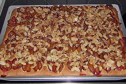 Zwetschgenkuchen vom Blech 10