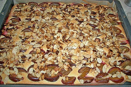 Zwetschgenkuchen vom Blech 18