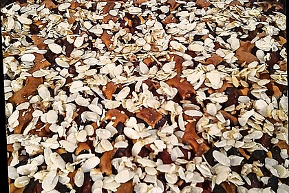 Zwetschgenkuchen vom Blech 4