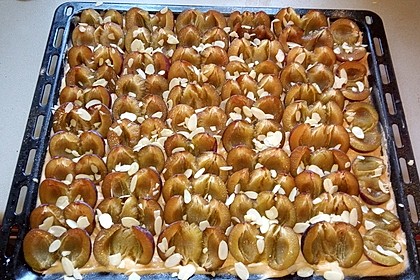 Zwetschgenkuchen vom Blech 6