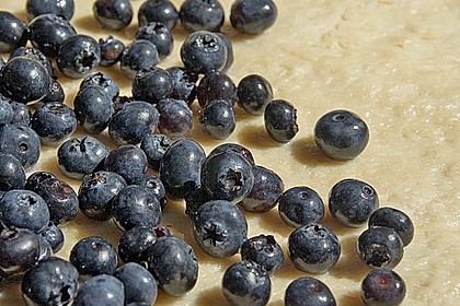 Blaubeer - Streusel - Kuchen mit Sahneguss 1