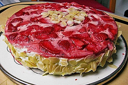 Himbeer - Joghurt - Torte 15