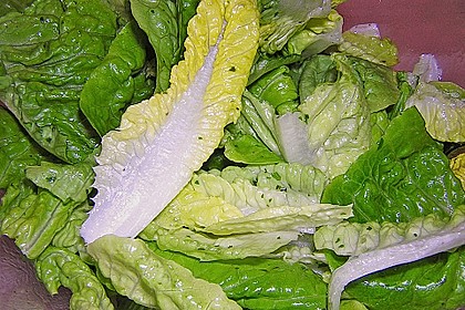 Gr&uuml;ner Salat mit Zitrone 5