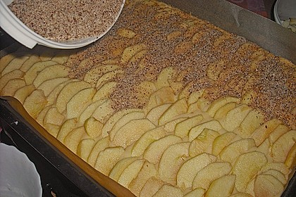 Schwedischer Apfelbiskuit 4