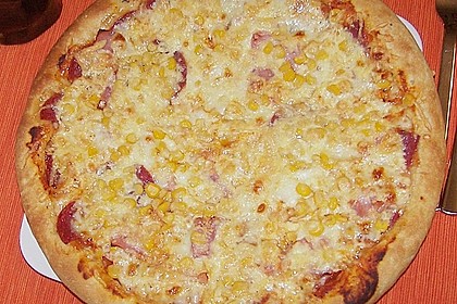 Pizzateig 52