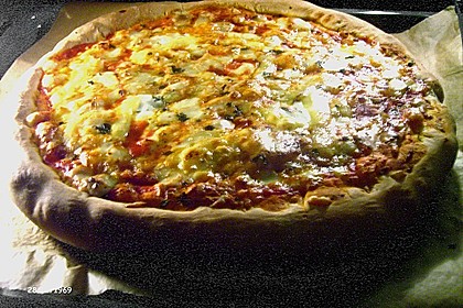 Pizzateig 91