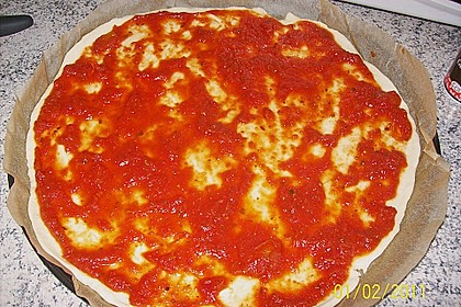 Pizzateig 28