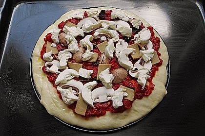 Pizzateig 55