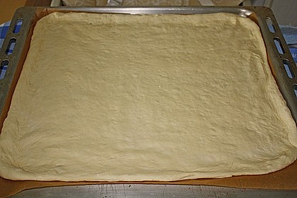 Pizzateig 8