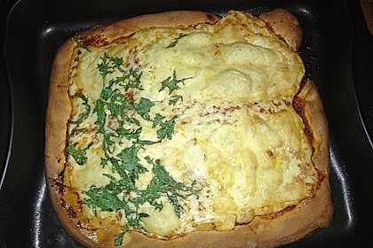 Pizzateig 23
