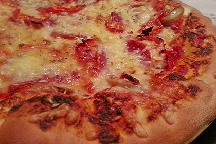 Pizzateig 93