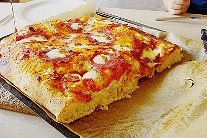 Pizzateig 67