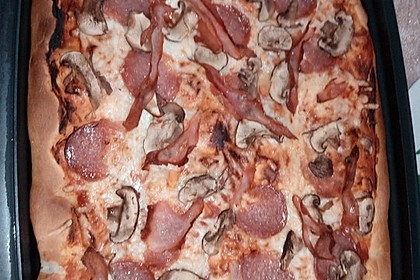 Pizzateig 14