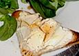 Ziegenk&auml;se - Honig - Toast
