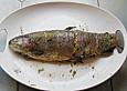 Wildlachs aus dem Ofen