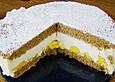 K&auml;se - Mango Torte Orynbor