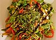 Gemischter Eisbergsalat mit super leckerem Dressing