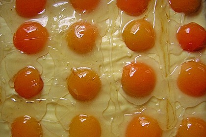 Spiegeleierkuchen 19