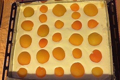 Spiegeleierkuchen 16