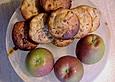 Muffins mit Fr&uuml;chten der Saison