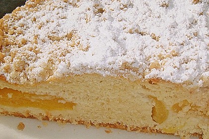Marillen (Aprikosen) - Rahmkuchen mit feinen Streuseln 22