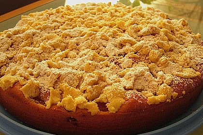 Marillen (Aprikosen) - Rahmkuchen mit feinen Streuseln 29