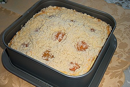 Marillen (Aprikosen) - Rahmkuchen mit feinen Streuseln 40