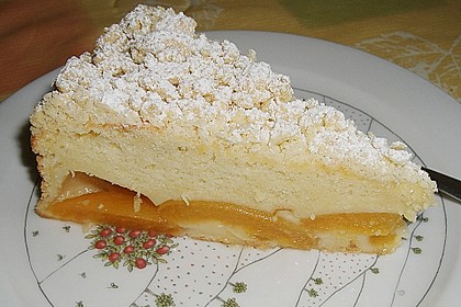 Marillen (Aprikosen) - Rahmkuchen mit feinen Streuseln 11