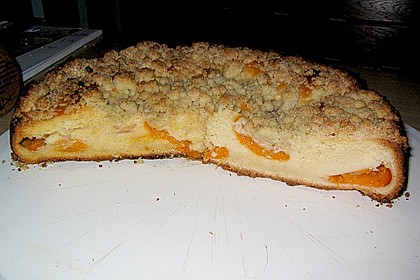 Marillen (Aprikosen) - Rahmkuchen mit feinen Streuseln 21