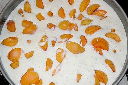 Marillen (Aprikosen) - Rahmkuchen mit feinen Streuseln 46