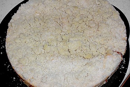 Marillen (Aprikosen) - Rahmkuchen mit feinen Streuseln 42