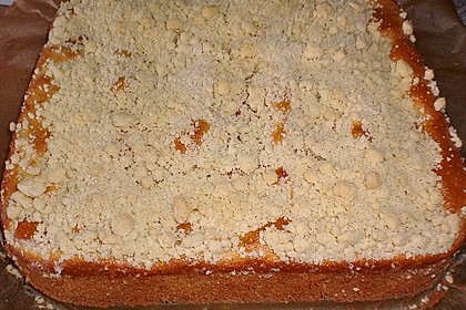 Marillen (Aprikosen) - Rahmkuchen mit feinen Streuseln 32