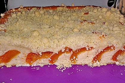Marillen (Aprikosen) - Rahmkuchen mit feinen Streuseln 24