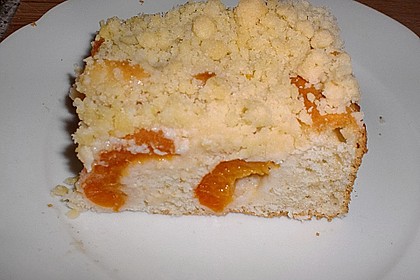 Marillen (Aprikosen) - Rahmkuchen mit feinen Streuseln 7