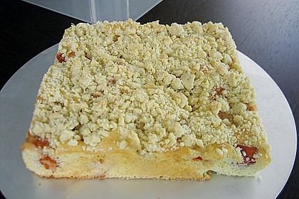 Marillen (Aprikosen) - Rahmkuchen mit feinen Streuseln 14