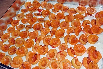 Marillen (Aprikosen) - Rahmkuchen mit feinen Streuseln 39