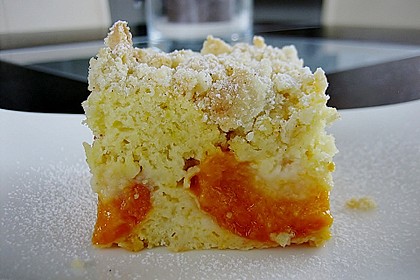 Marillen (Aprikosen) - Rahmkuchen mit feinen Streuseln 8