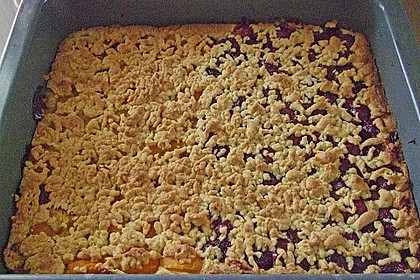 Marillen (Aprikosen) - Rahmkuchen mit feinen Streuseln 37