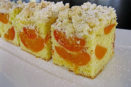 Marillen (Aprikosen) - Rahmkuchen mit feinen Streuseln