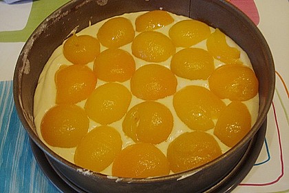 Marillen (Aprikosen) - Rahmkuchen mit feinen Streuseln 45