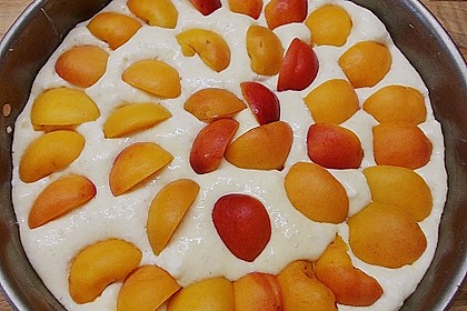Marillen (Aprikosen) - Rahmkuchen mit feinen Streuseln 44