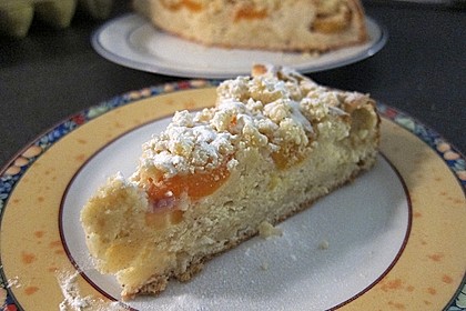 Marillen (Aprikosen) - Rahmkuchen mit feinen Streuseln 16