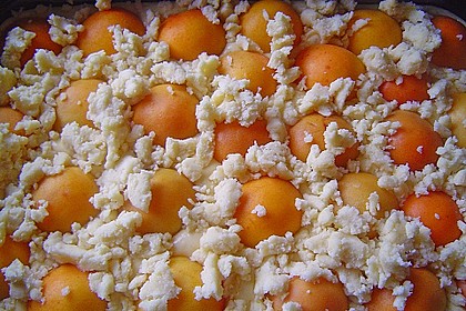 Marillen (Aprikosen) - Rahmkuchen mit feinen Streuseln 36
