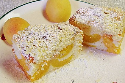 Marillen (Aprikosen) - Rahmkuchen mit feinen Streuseln 4