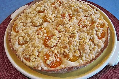 Marillen (Aprikosen) - Rahmkuchen mit feinen Streuseln 13