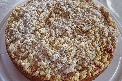 Marillen (Aprikosen) - Rahmkuchen mit feinen Streuseln 23